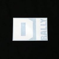 DIrally Rectangle Decal - Small / White